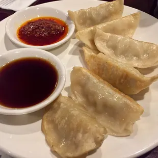 Pork fried dumplings were big and delish!