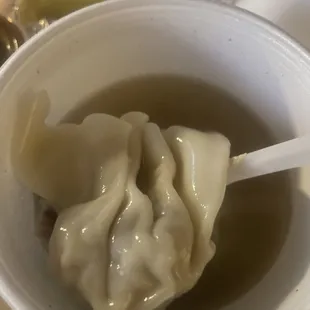 Wonton Soup