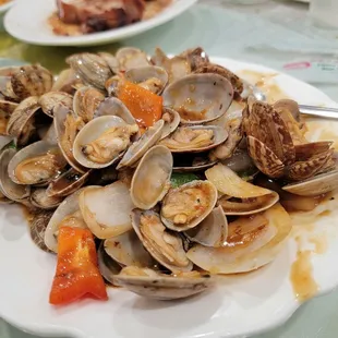 oysters, shellfish, food, oysters and mussels, mussels
