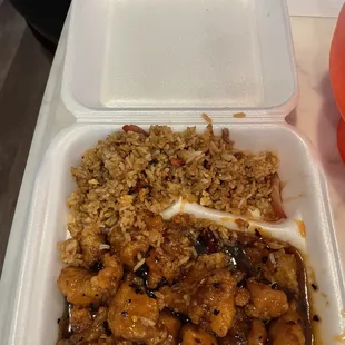 L09. Sweet and Sour Chicken Lunch