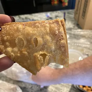 Fried Meat Dumplings