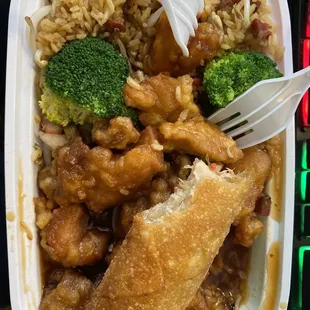 General Tso Combination Platter