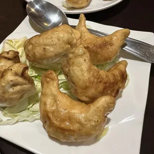 Pot stickers. They were fried, not traditional.