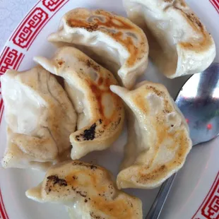 Pot Stickers
