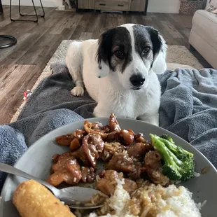 Bourbon chicken, steamed rice, egg roll