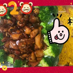 Bourbon chicken with pork fried rice (family size )