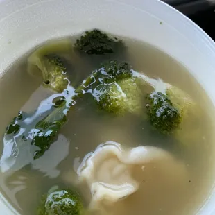 Won Ton Soup
