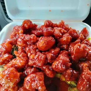 General TSO chicken. The bomb...