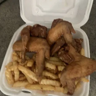 chicken wings with french fries