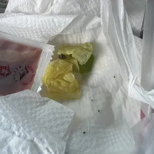 You see the bugs