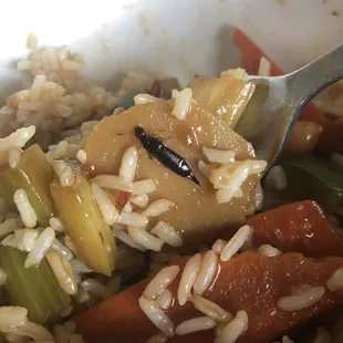 Bug found in Kung PAO