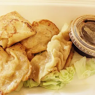 appetizer Pot Stickers
