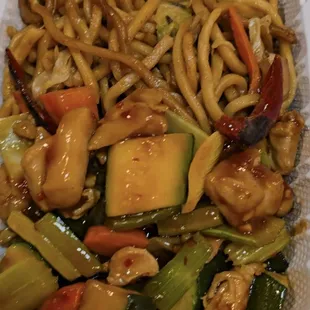 Chow Mein with Chicken and Vegetables- a mini plate.