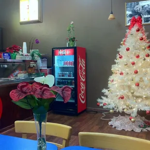 Decorated for Christmas