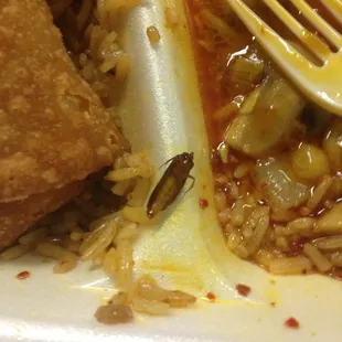 This is what I got with my curry shrimp this evening, disgusting!