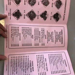 a hand holding a menu