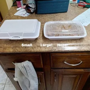 The small one next to the large, small on your left