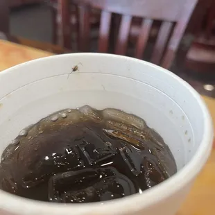 Fuimos a comer sirven en vasos y platos desechables creo que tienen que revisar el lugar por seguridad y desinfectar el lugar