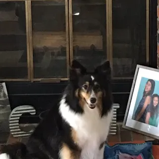 Phoebe A.