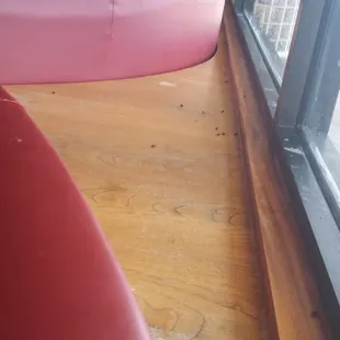 Very unsanitary place to eat how gross