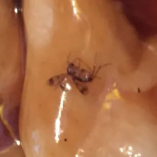 Bug in food from China Hill.