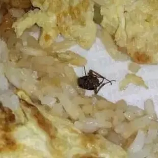 ROACH IN MY FOOD!!! They have ROACHES!!!