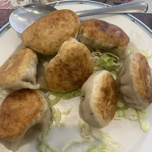 Pot stickers