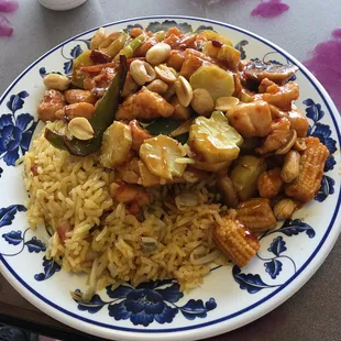 Kung Pao Chicken lunch special, served with fried rice. Made with sliced broccoli stems, hmm. It was Ok.