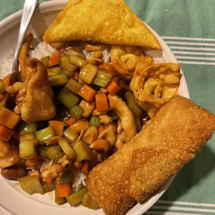 Top triangle is crab rangoon, down and to the right is fried wonton, bottom right is pork eggroll