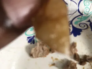 Fantasy Chinese Cuisine