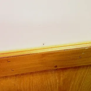 Bugs again!