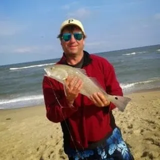 David S.