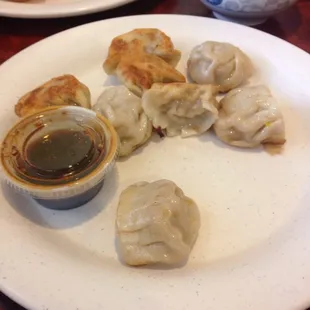 Fried potstickers