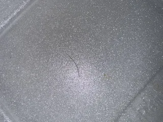 Hot Wasabi, Hibachi Express