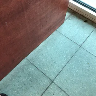 Dead crickets throughout the lobby