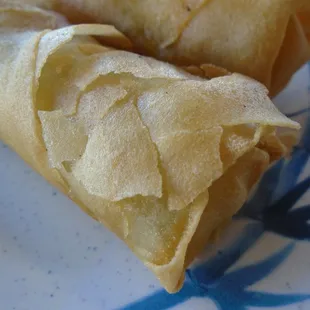 Vegetable spring rolls, close-up.