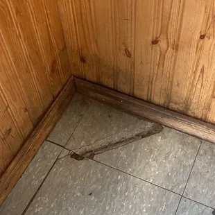 Filth in the corner in the dining room