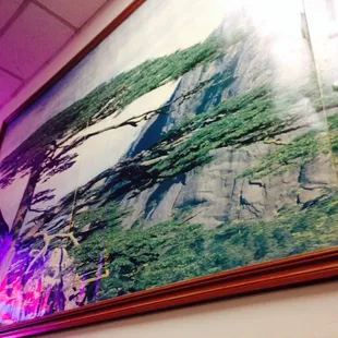 a cat sitting on the wall