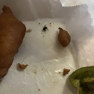 Bug found in food