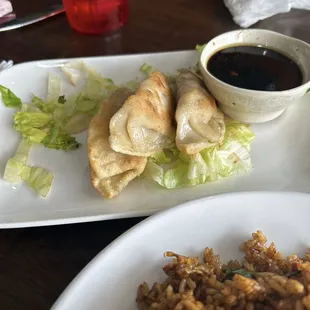 Pot stickers
