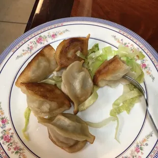Pot Stickers