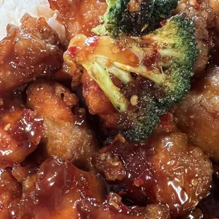 P1. Orange Chicken