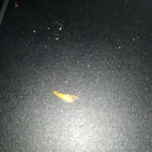 a banana on the floor