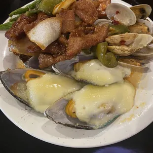 oysters, oysters and mussels, shellfish, food, mussels