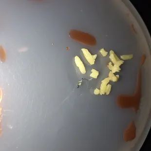 Thankfully I seen it before putting it in my mouth.