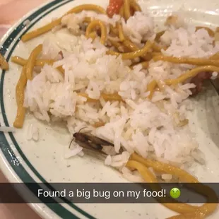 a plate of rice and vegetables