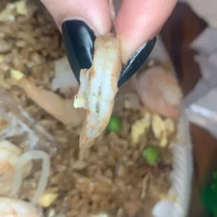 20.1 Shrimp Fried Rice