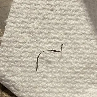 Metal piece in my food from China King on Route 1 in Palencia, Saint Augustine.