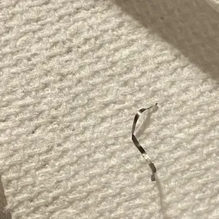 Metal in my food from China King on Route 1 in Palencia, Saint Augustine.