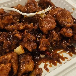 Orange Chicken with side of white rice (not shown) There was more orange chicken but we ate it.